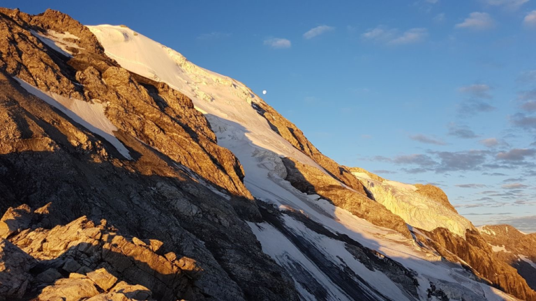 Blick auf den Ortler